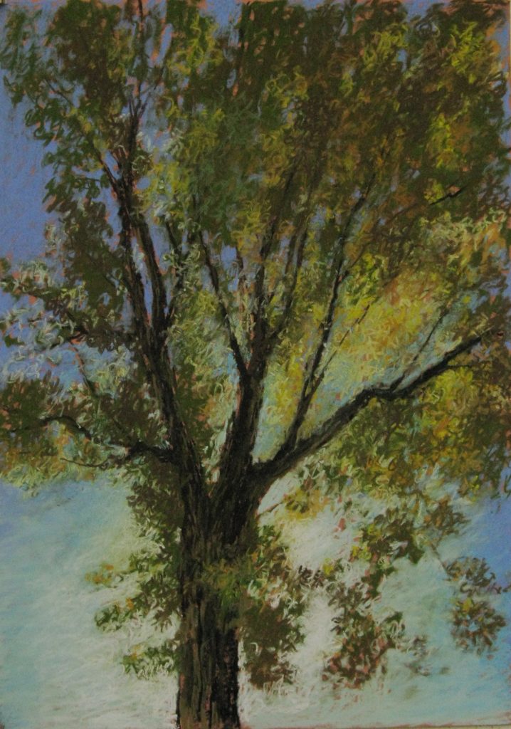 1- L’automne à Mervent (50×70)