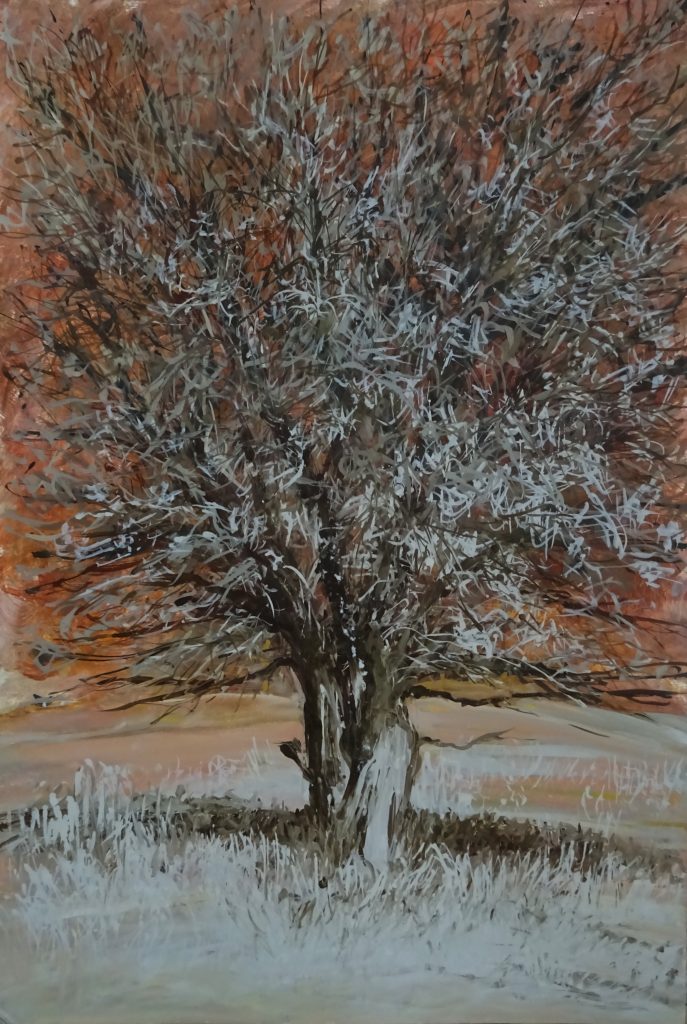 l’arbre calligrape de Lescun (70×100)