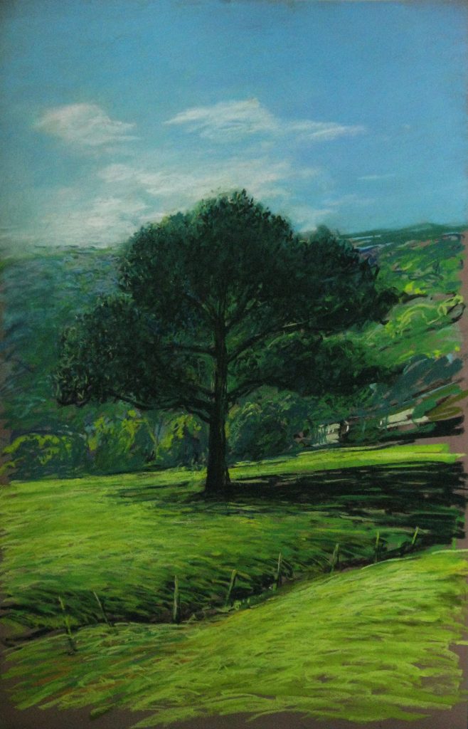 l’arbre d’Emeringes (50×70)
