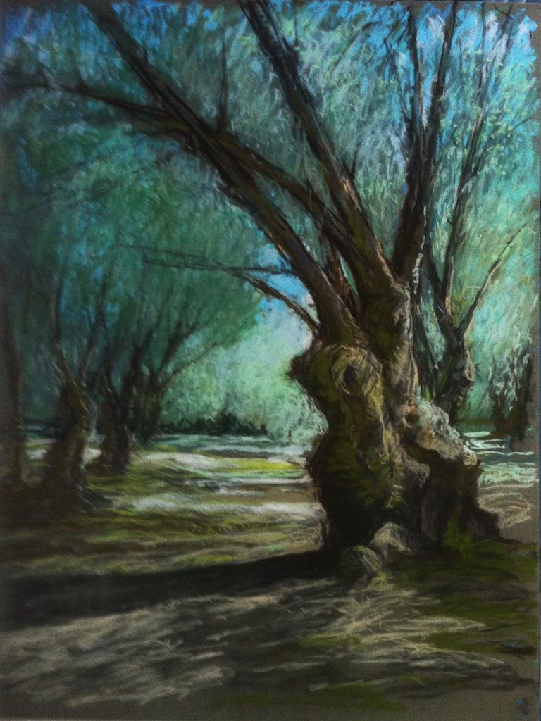 2-les oliviers du parc des Milelli (50×70)