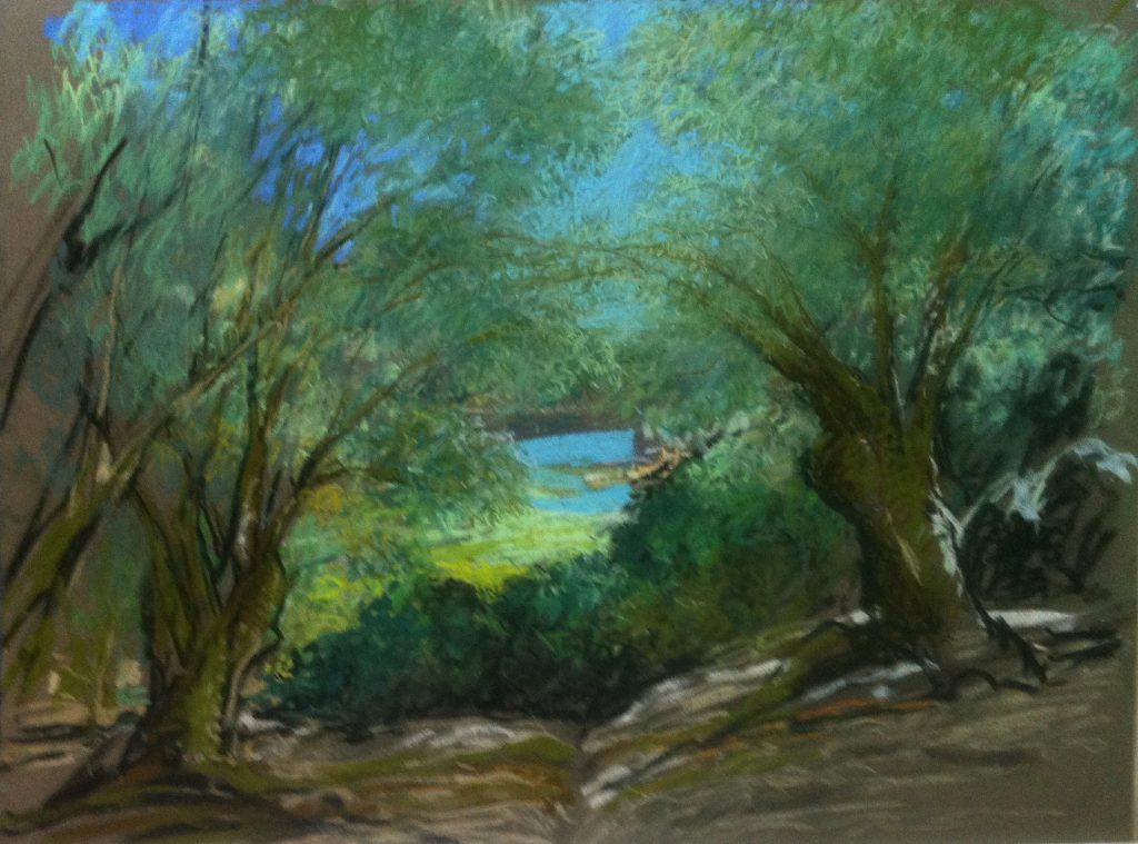 4-les oliviers du parc des Milelli (50×70)