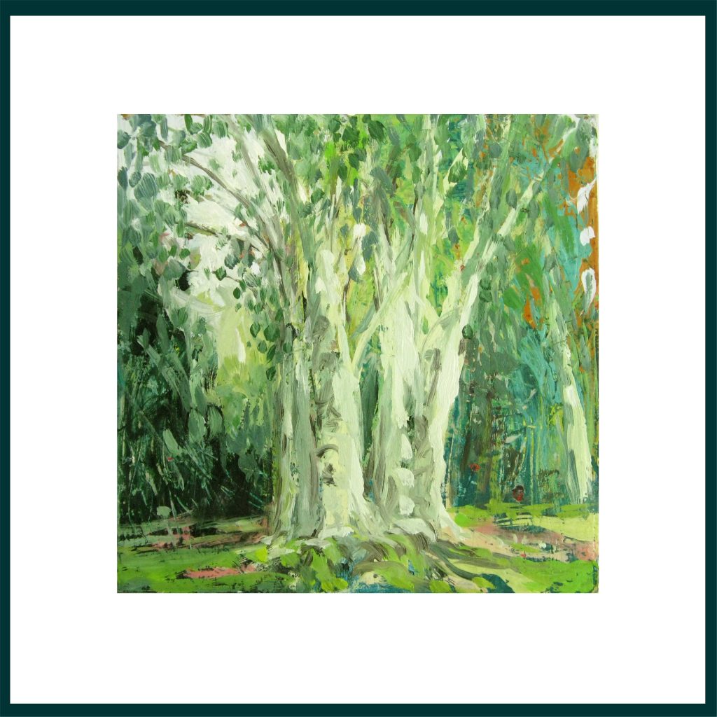 5- portraits d’arbres (20×20)