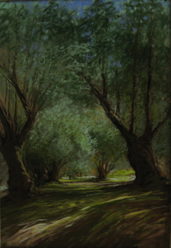 1-les oliviers du parc des Milelli (50×70)